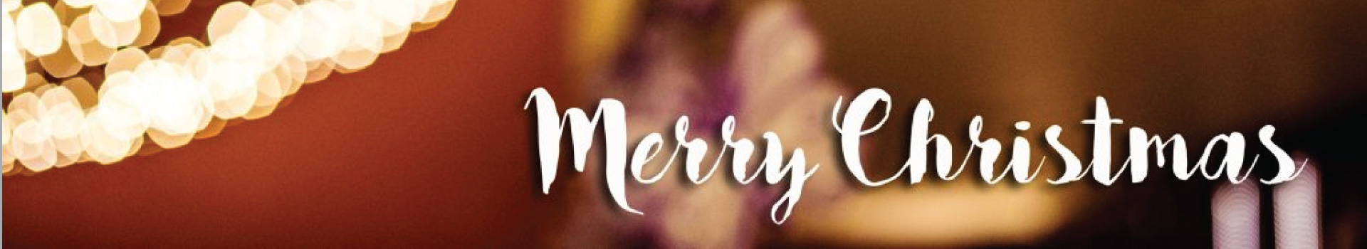 Merry Christmas and a Happy New Year