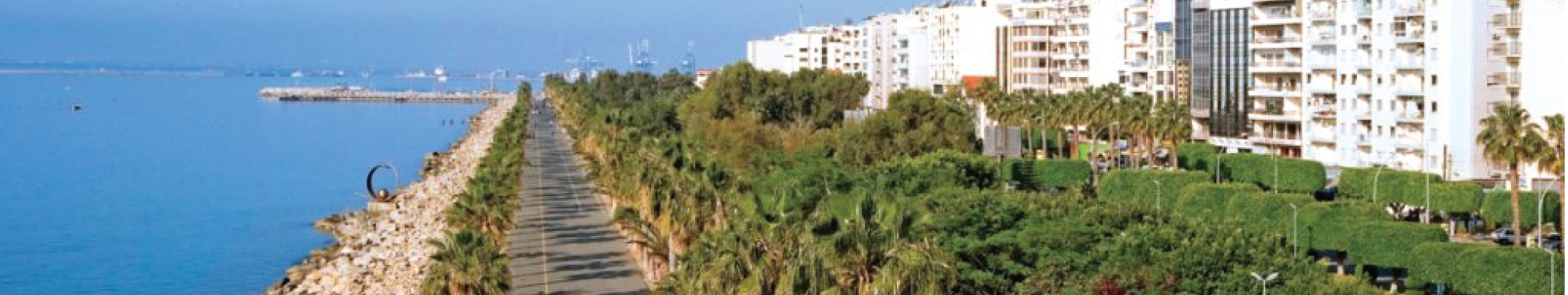 NEW BOARD OF DIRECTORS FOR THE LIMASSOL CHAMBER OF COMMERCE AND INDUSTRY