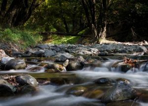 river-web